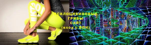 мяу мяу мука Баксан