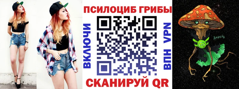 купить наркотики цена  мориарти Telegram  Псилоцибиновые грибы мицелий  Грайворон  ссылка на мегу маркетплейс 